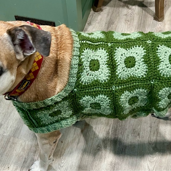 Other - Green Crochet Dog Sweater